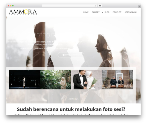 Solid_affiliate WordPress plugin - ammora.co