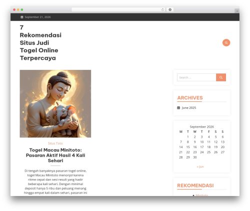 matina WordPress theme - bizman-invest.com