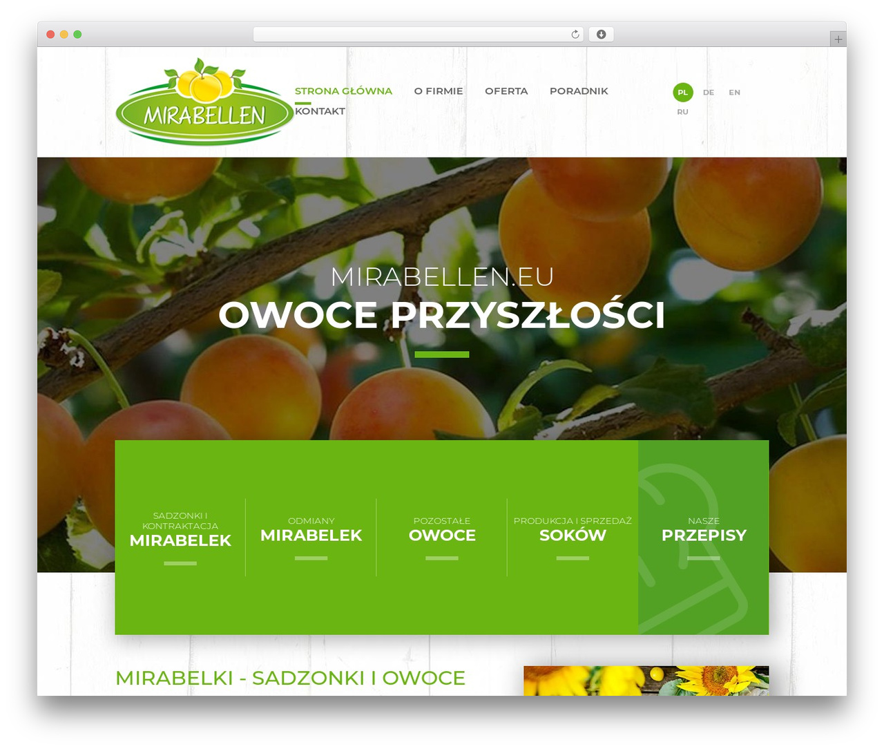 Theme WordPress Mirabelen.com - mirabellen.eu Theme WordPress Mirabelen.com - mirabellen.eu
