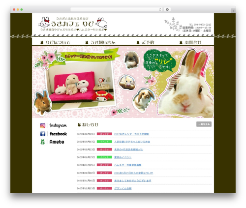Mts simple booking WordPress plugin - usacafe-ribi.com