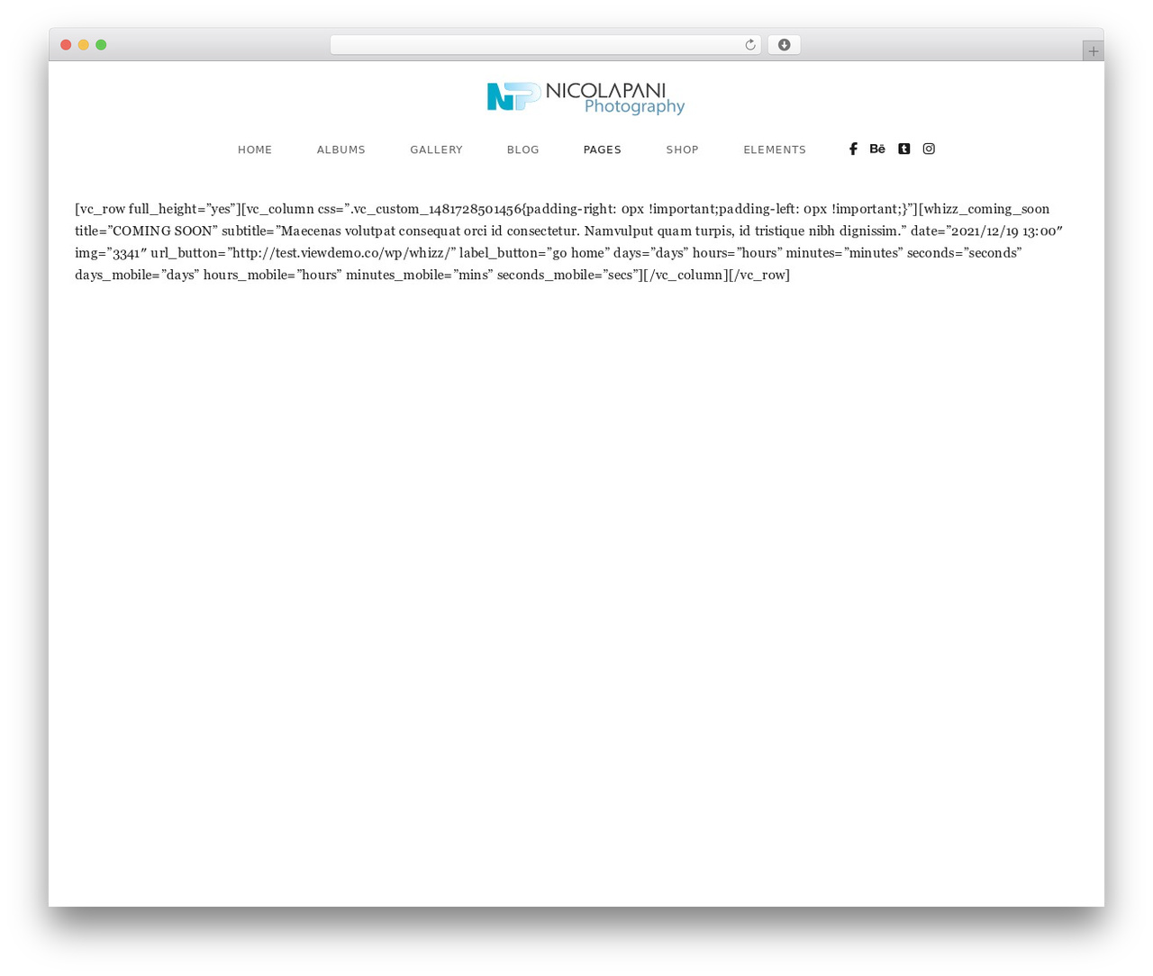Theme WordPress Whizz (Child Theme) - nicolapani.com Theme WordPress Whizz (Child Theme) - nicolapani.com