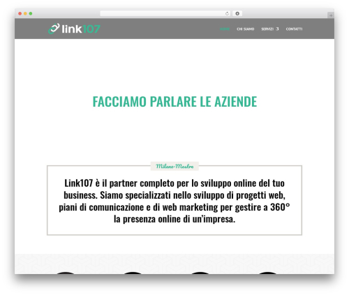 WordPress theme Divi - link107.com