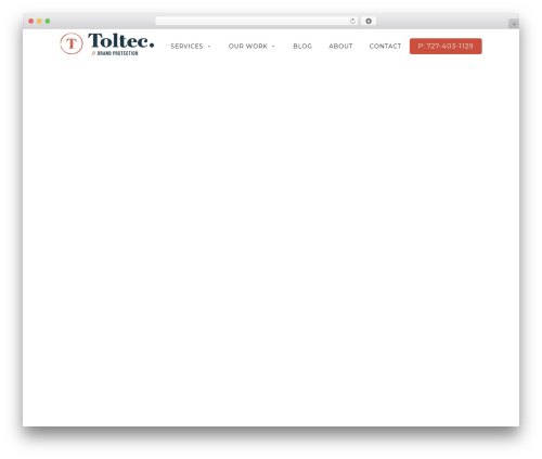 WordPress theme Optimizer PRO - toltec.net WordPress theme Optimizer PRO - toltec.net