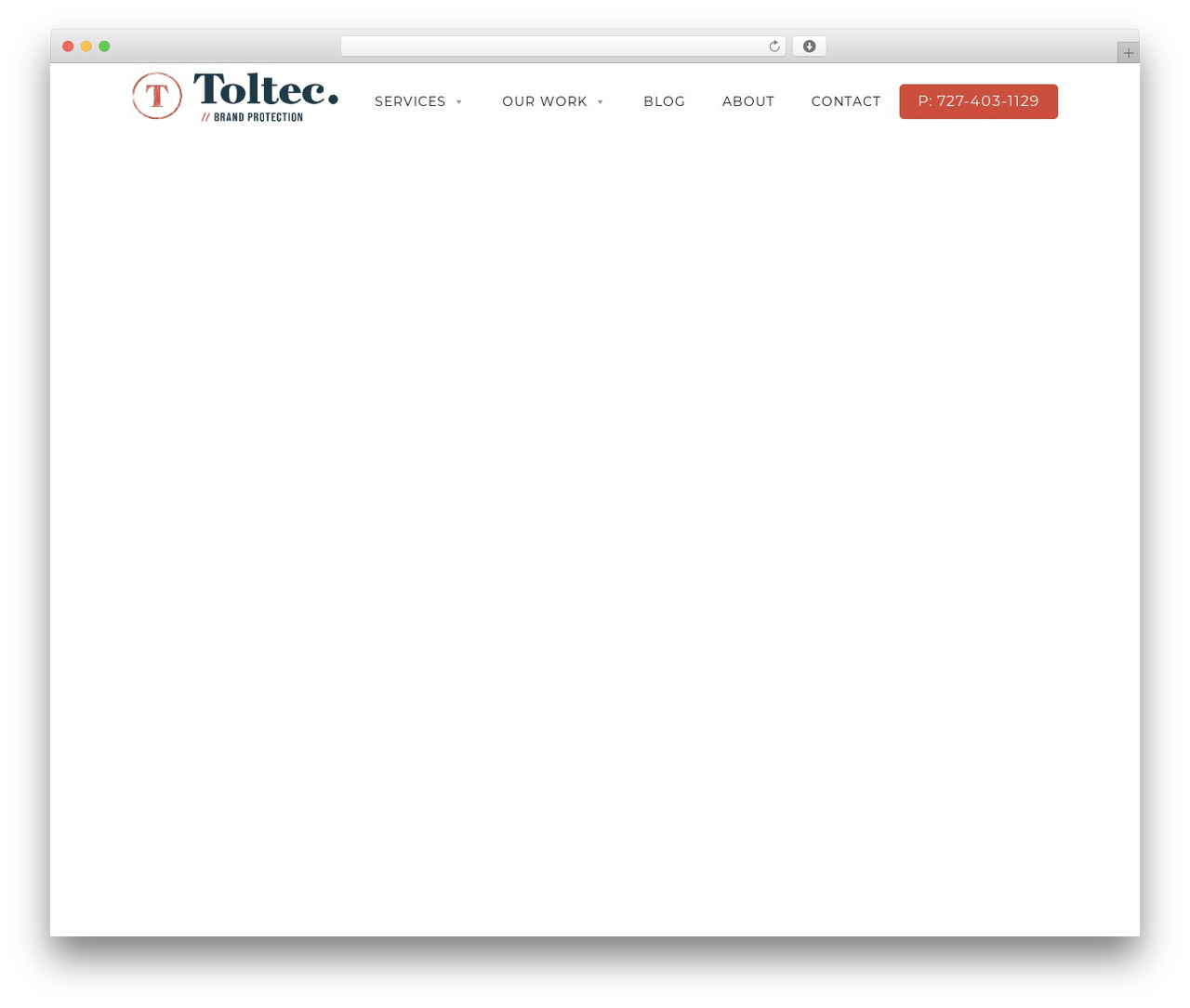 WordPress theme Optimizer PRO - toltec.net WordPress theme Optimizer PRO - toltec.net