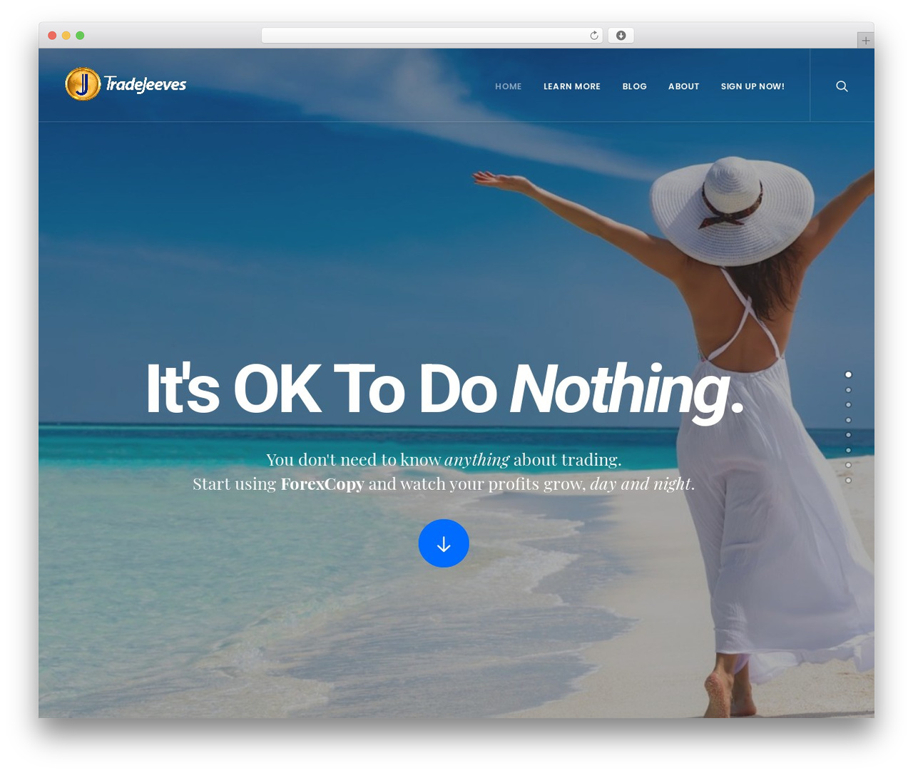 WP theme Uncode - tradejeeves.com WP theme Uncode - tradejeeves.com
