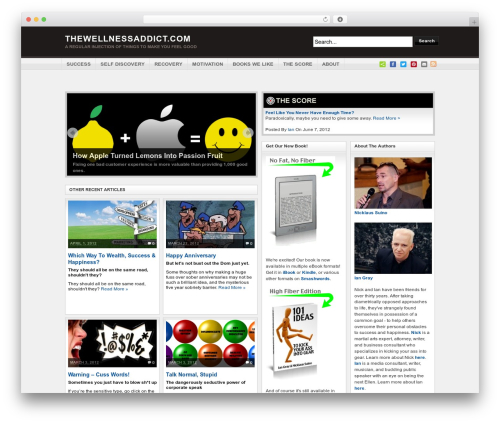 Arras theme WordPress - thewellnessaddict.com