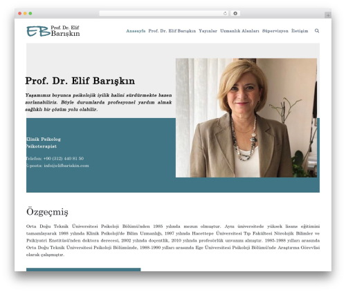 Boldest theme WordPress - elifbariskin.com