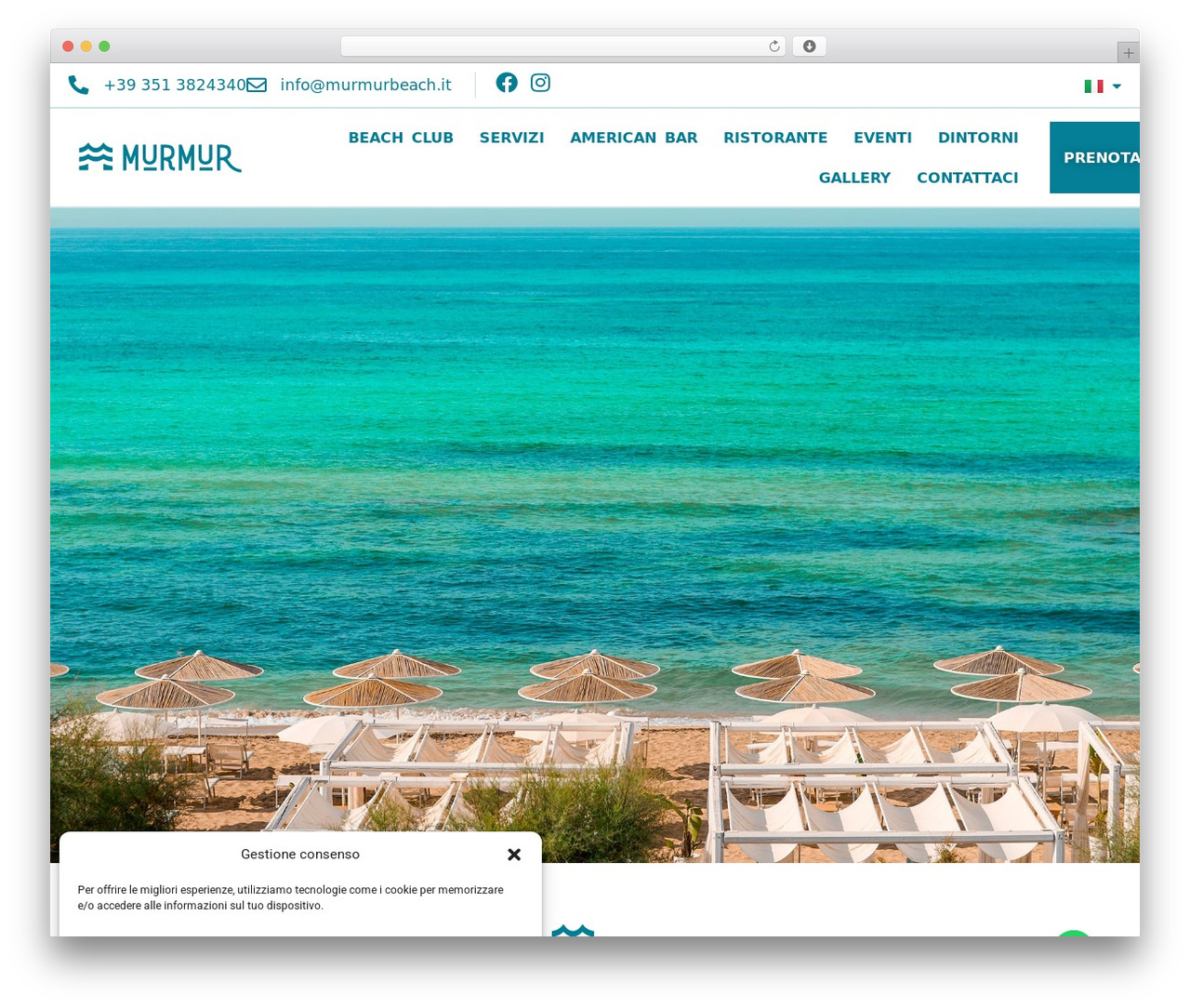 Hello Elementor WP theme - murmurbeach.it