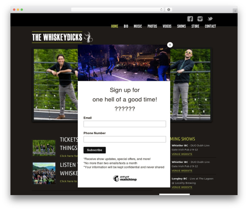 Musicpro theme WordPress - thewhiskeydicks.ca