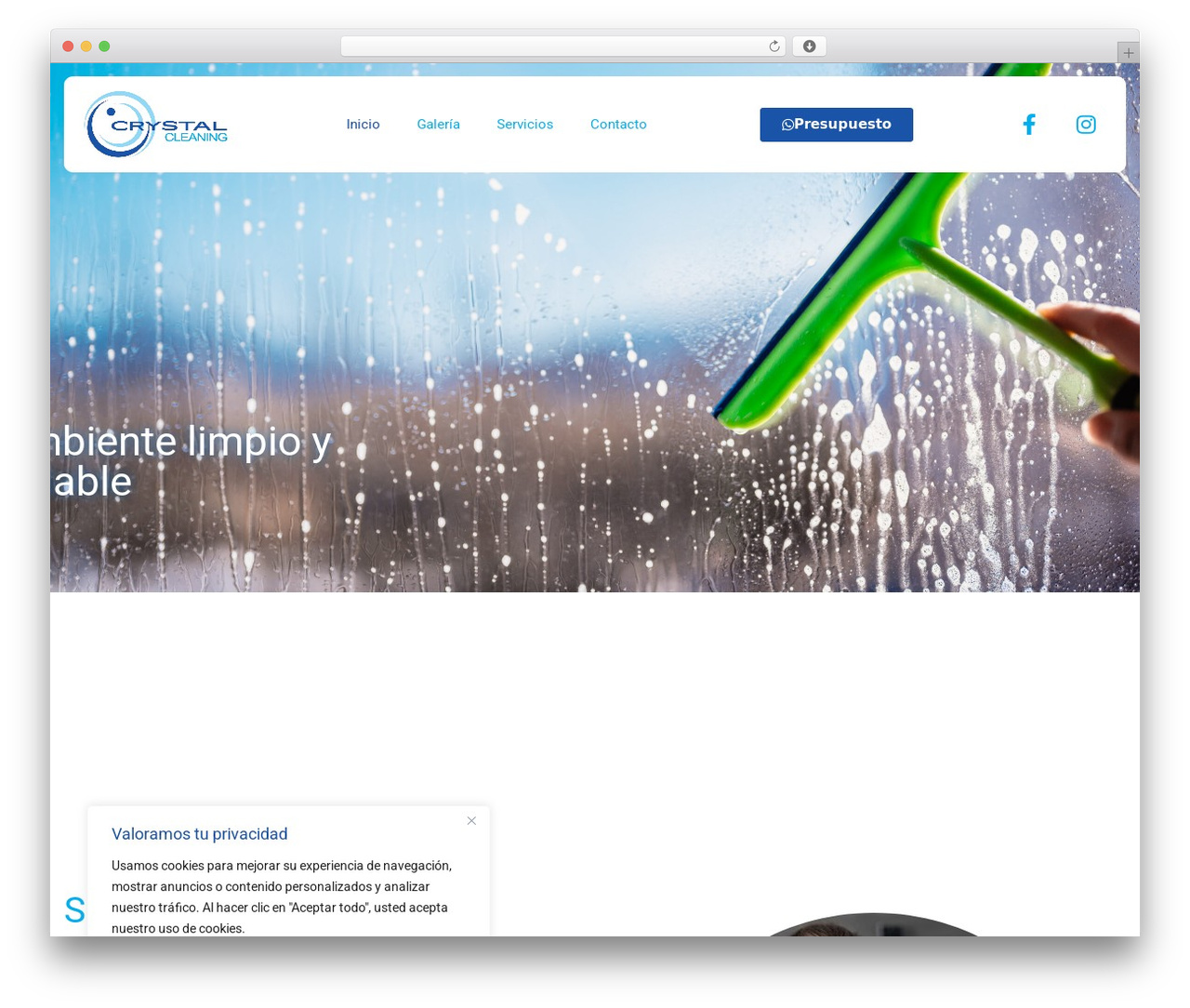 Theme WordPress Hello Elementor - crystalcleangernika.com