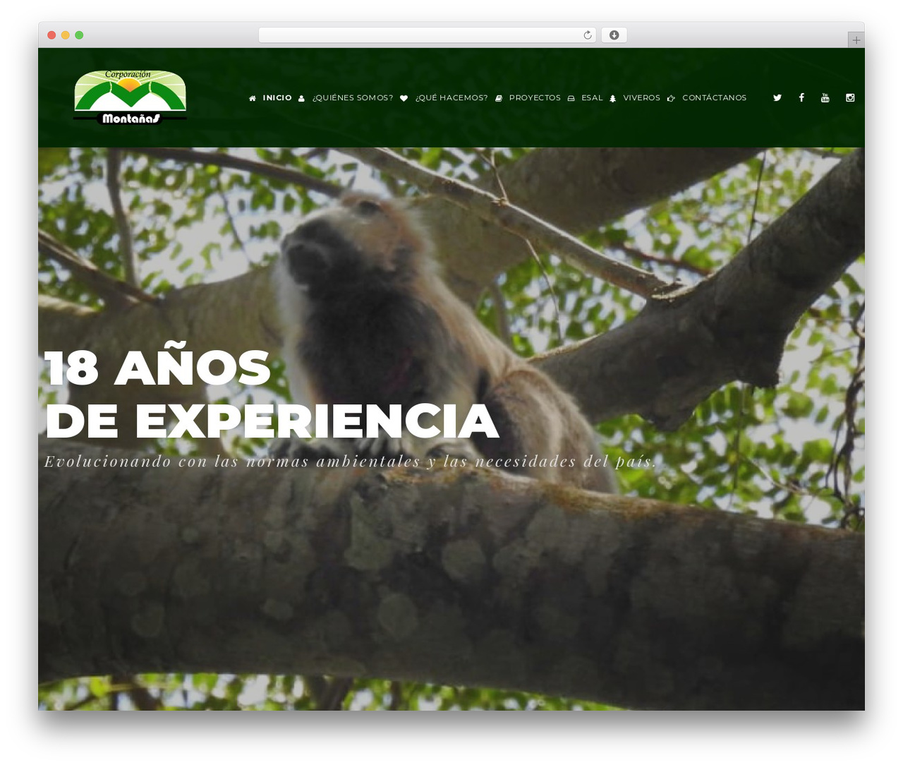 Wolverine theme WordPress - corporacion-montanas.org Wolverine theme WordPress - corporacion-montanas.org