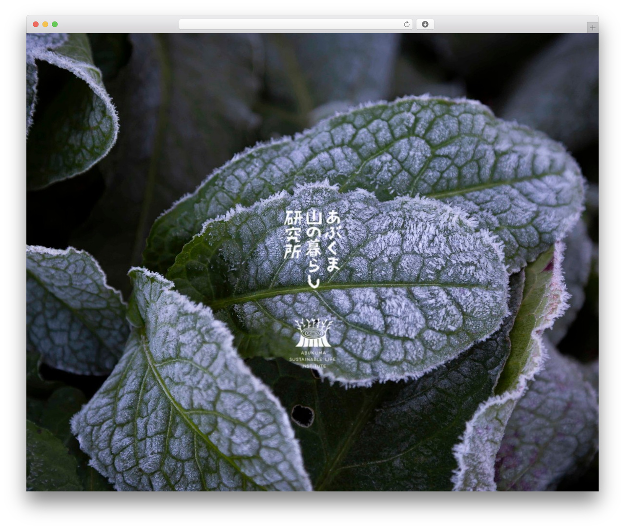 あぶくま山の暮らし研究所 WordPress website theme - asli.fukushima.jp