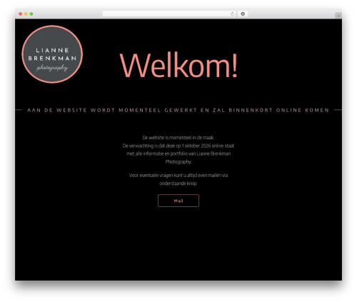 Imaginem blocks ii WordPress plugin - liannebrenkman.nl