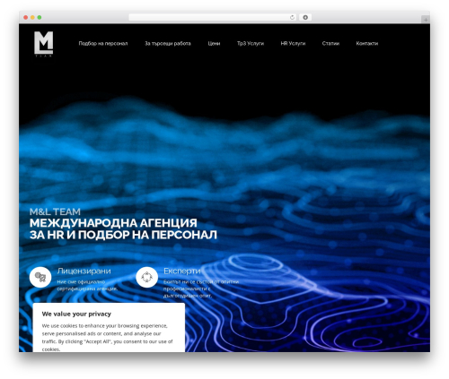 Codiqa WordPress website theme - mandlteam.com