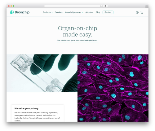 Divi hotspots plus WordPress plugin - beonchip.com