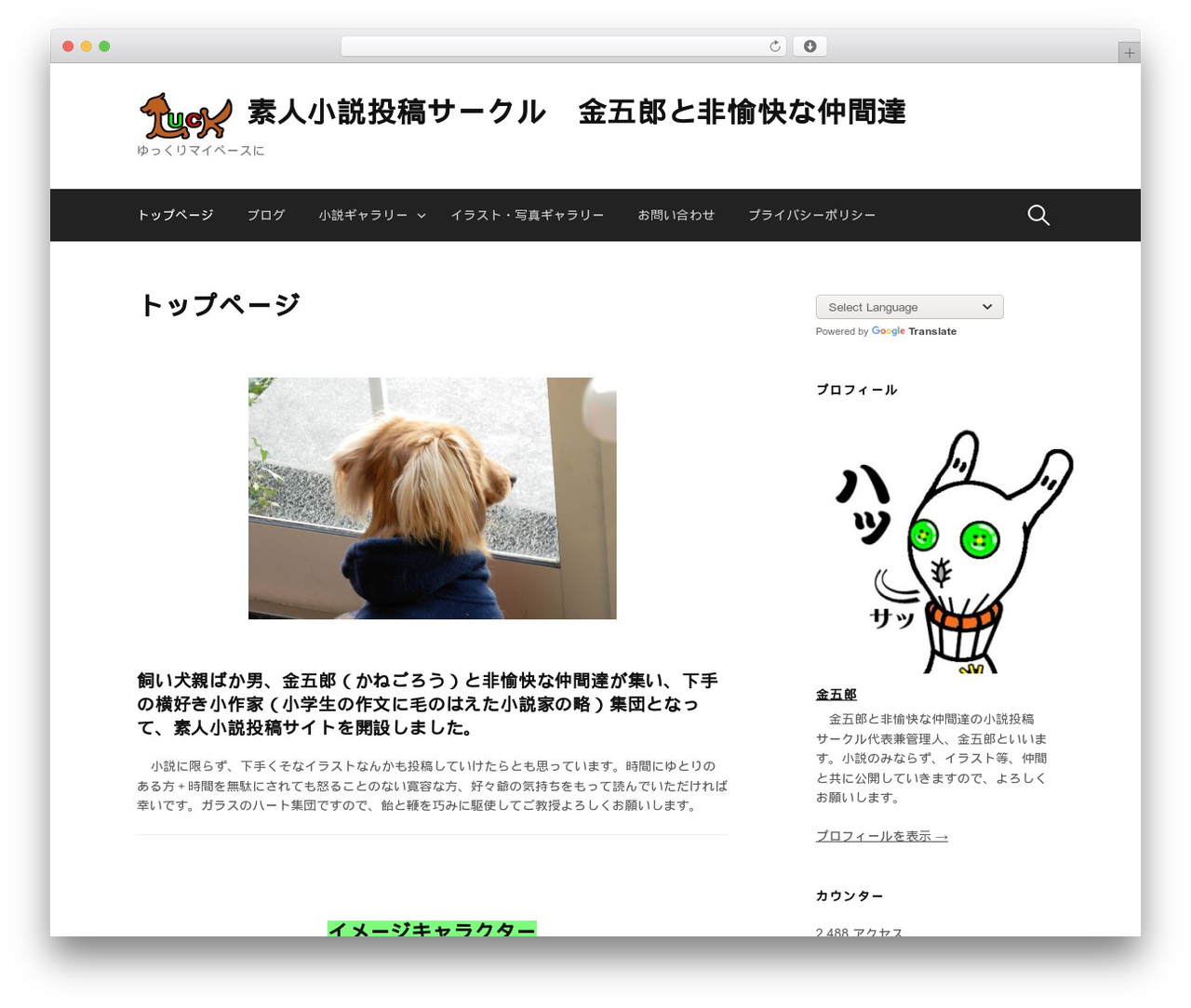 First WordPress theme - amateurnovelist.site