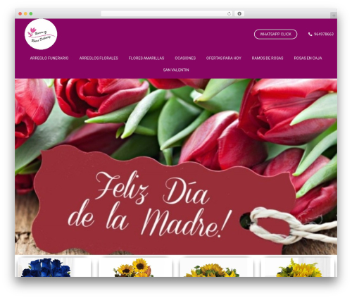 Visa acceptance solutions WordPress plugin - ramosyrosasdelivery.com