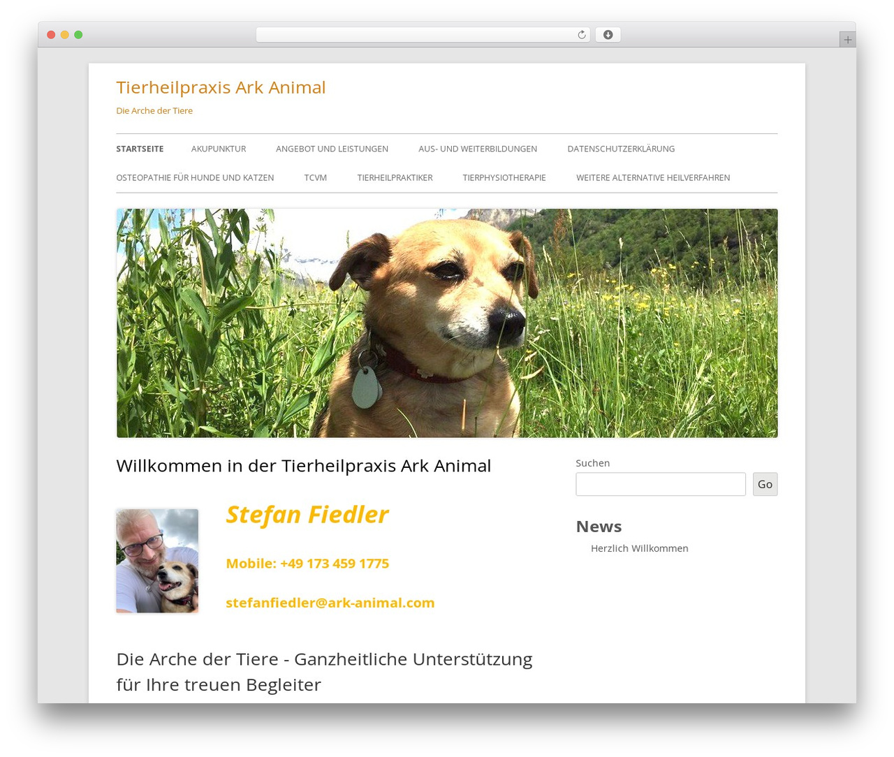 WP theme Tiny Framework - ark-animal.com