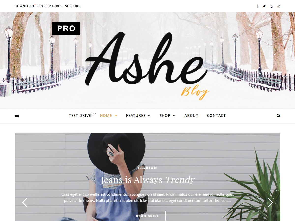 Ashe Pro Child template WordPress