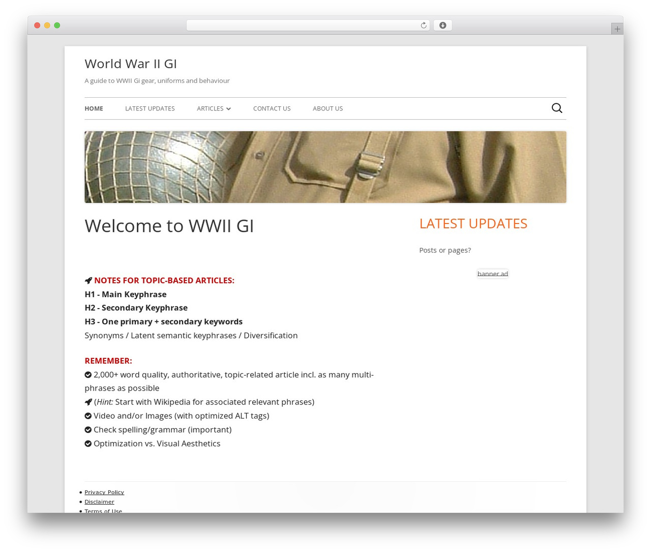 Dynamik WordPress theme - wwiigi.com