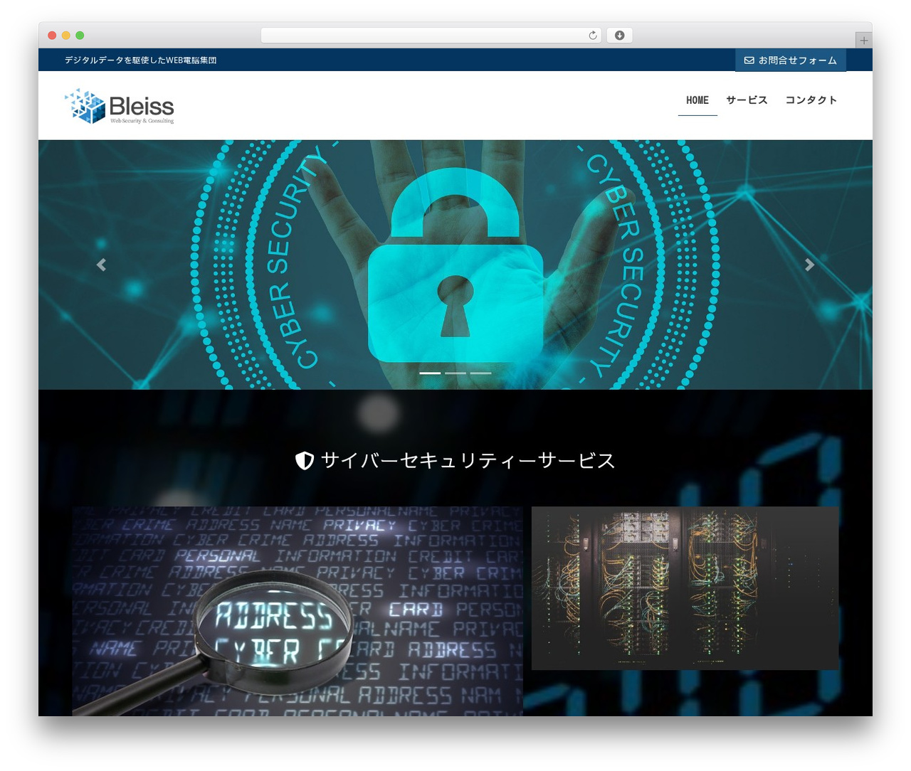 Lightning Pro WordPress theme - bleiss.net