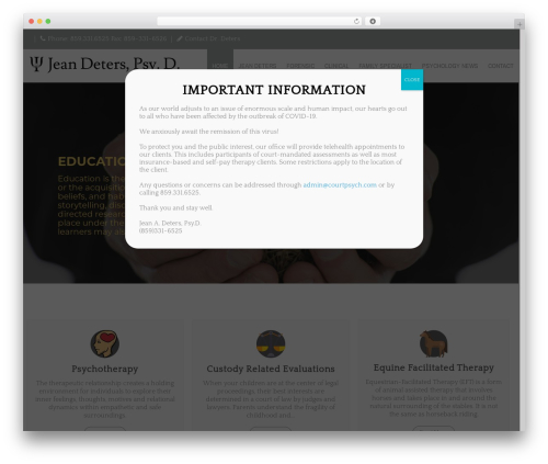 Spirited Pro best WordPress theme - courtpsych.com