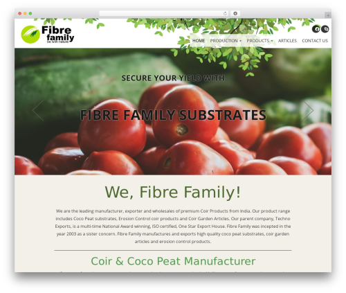 Techno WordPress theme - fibrefamily.com