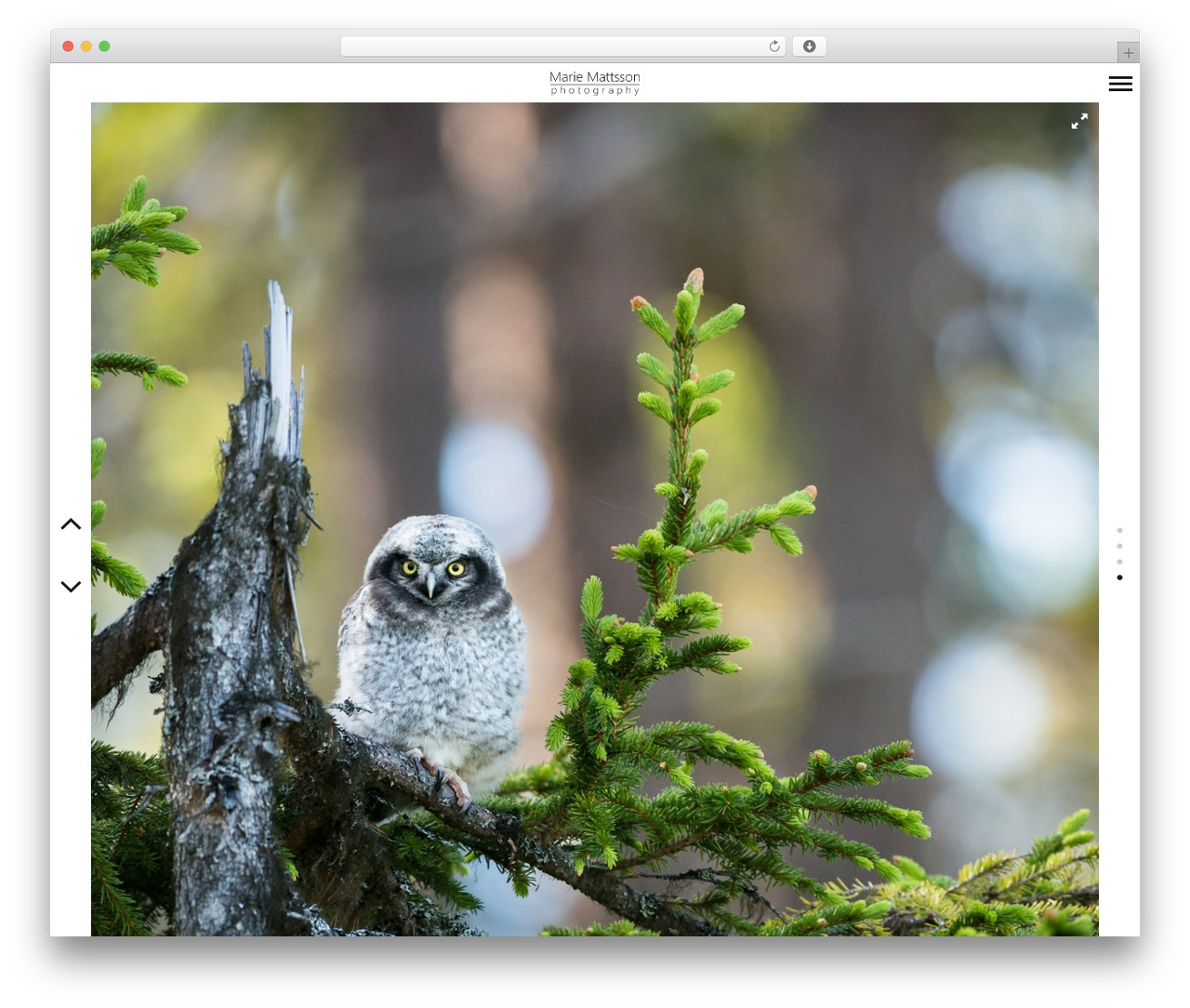 Border WordPress theme - mariemattsson.se Border WordPress theme - mariemattsson.se