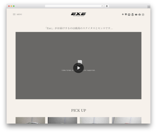 WordPress theme 株式会社エグゼクティブ - 01executive.com