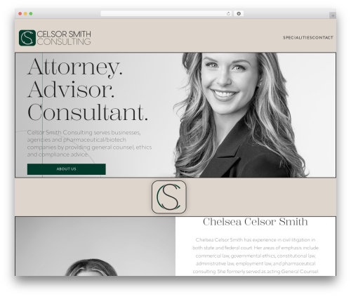 WordPress theme DevVinci BLM - celsorsmithconsulting.com