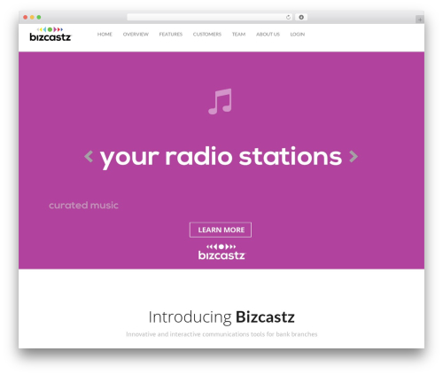 Intense WordPress plugin - bizcastz.com
