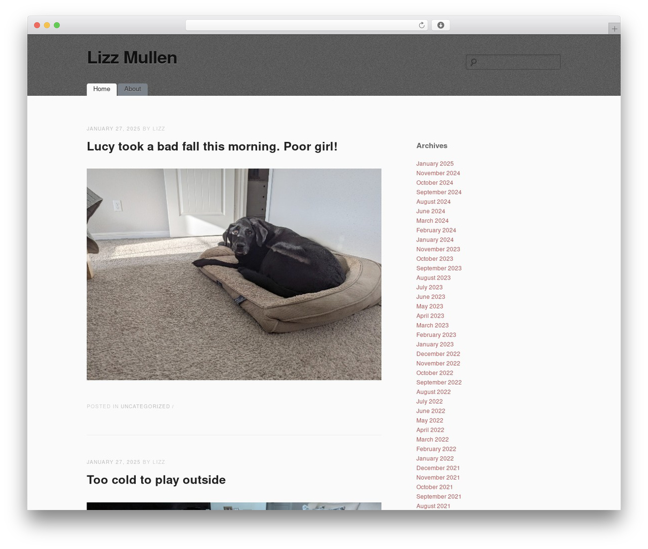 simpleX WordPress theme - lizzmullen.com