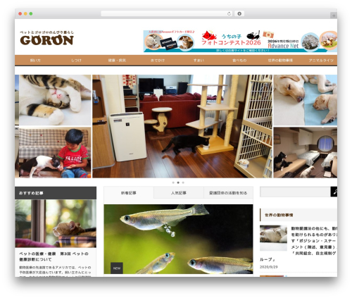 WordPress theme Core Child - goron.co