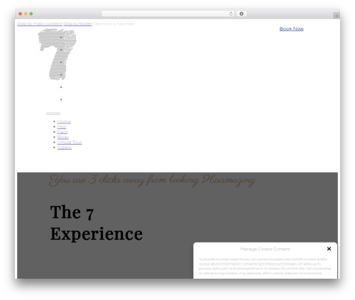 Advanced custom post type WordPress plugin - 7hairsalon.com
