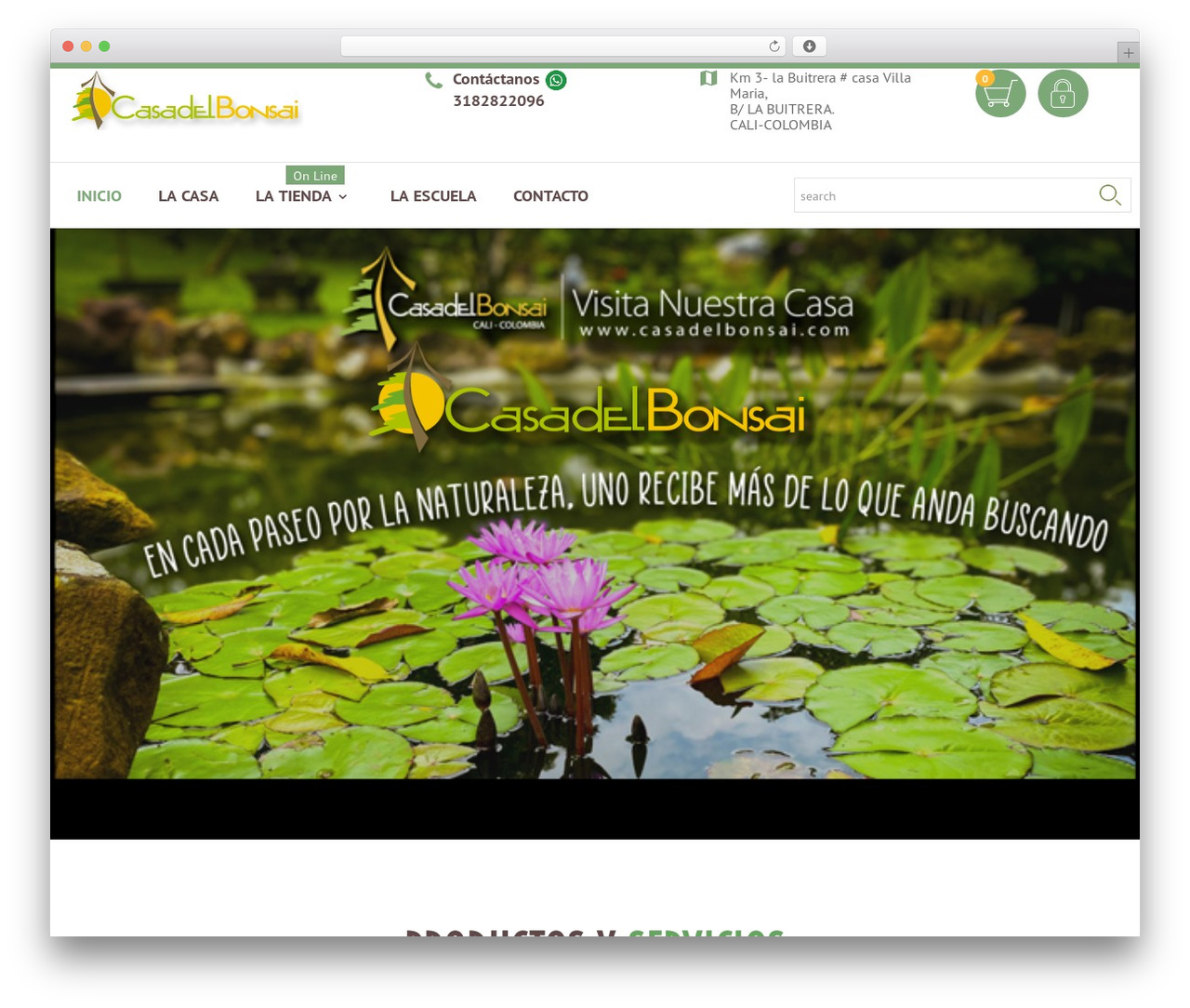 cherry WordPress theme - casadelbonsai.com cherry WordPress theme - casadelbonsai.com