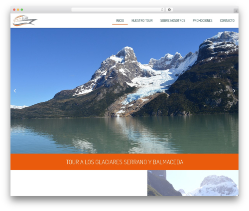 Ba order for customers WordPress plugin - nauticopolosur.cl