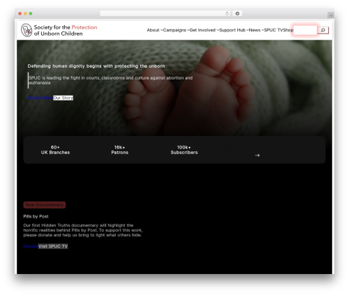 Automatic YouTube Gallery (automatic-youtube-gallery) free WordPress plugin - spuc.org.uk