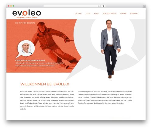 VC MailChimp (vc-mailchimp) free WordPress plugin - evoleo.de VC MailChimp (vc-mailchimp) free WordPress plugin - evoleo.de
