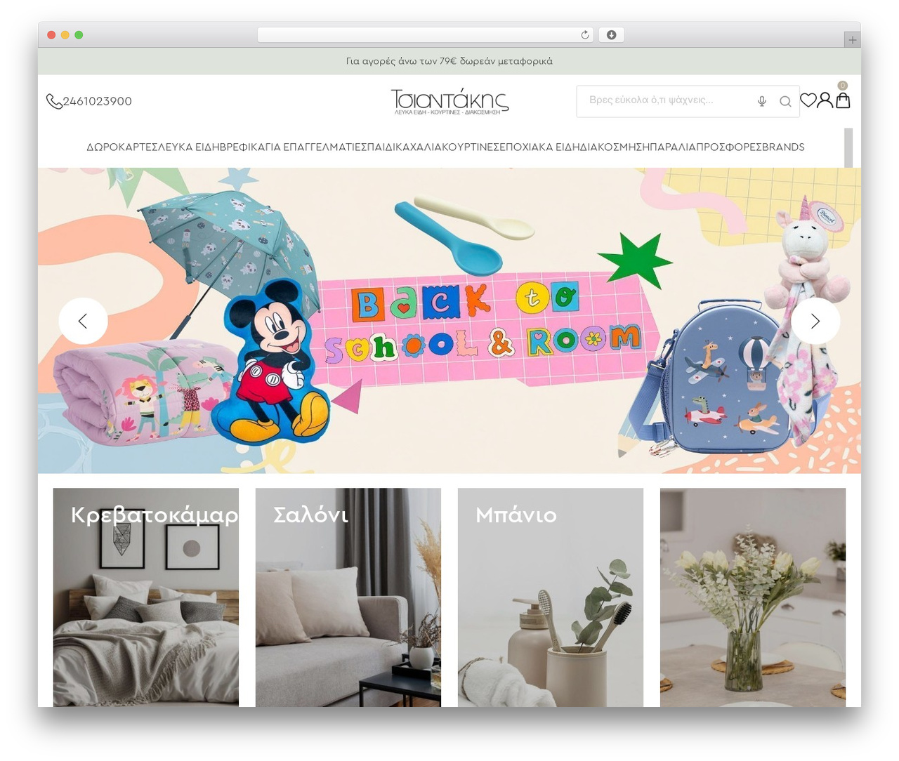 Web Expert - Basic Template theme WordPress - www.tsiantakishome.gr