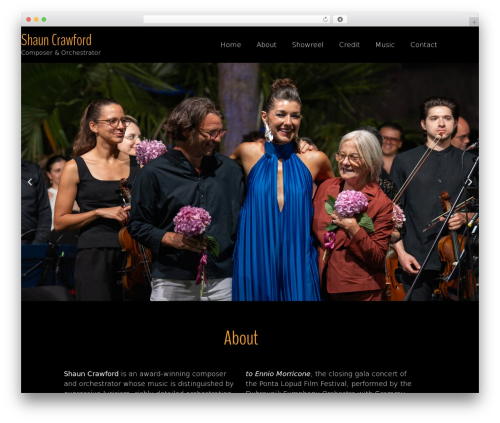 WordPress theme Hello Elementor - shauncrawford.co.za