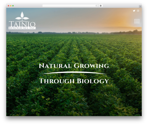 ANDA Creative Demeter Theme WordPress theme - tainio.com