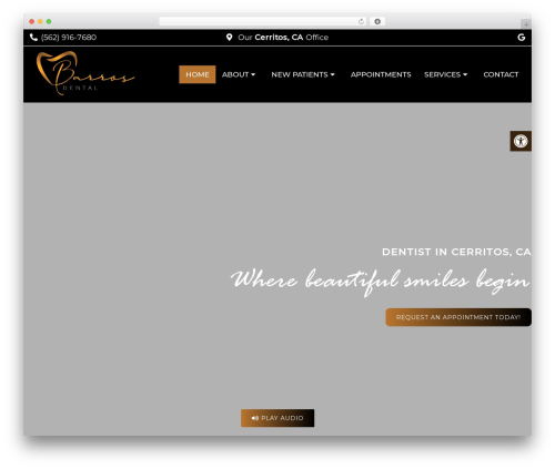 Classy - Child WordPress theme - barrosdental.com