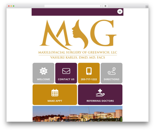 WordPress theme Pro - msgoms.com