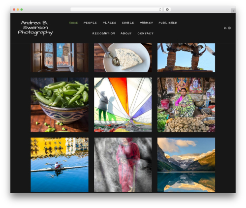 Aurel WordPress theme image - andreabswenson.com