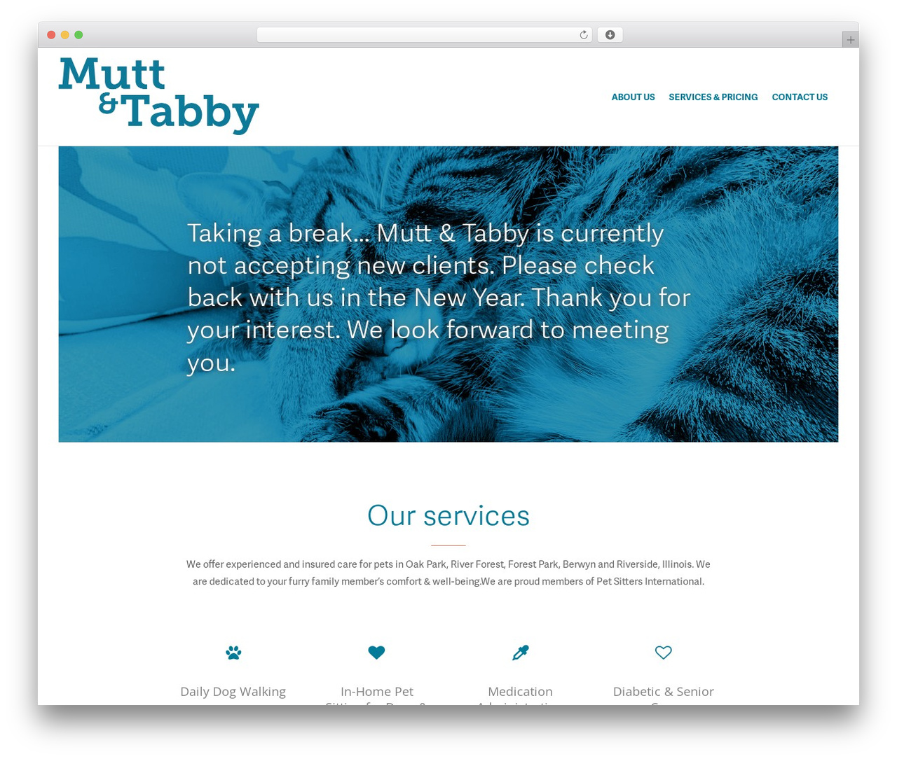 Create WordPress theme - muttandtabby.com
