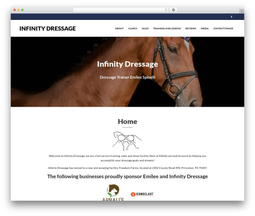 Vega WordPress theme - infinitydressage.com