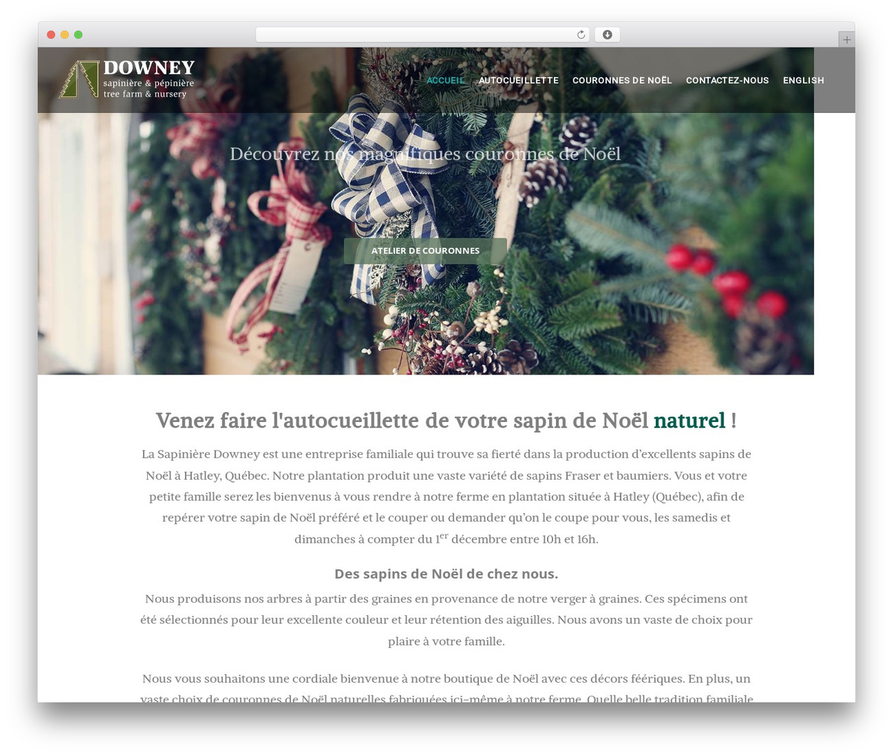 WordPress theme Create Child - sapinieredowney.ca