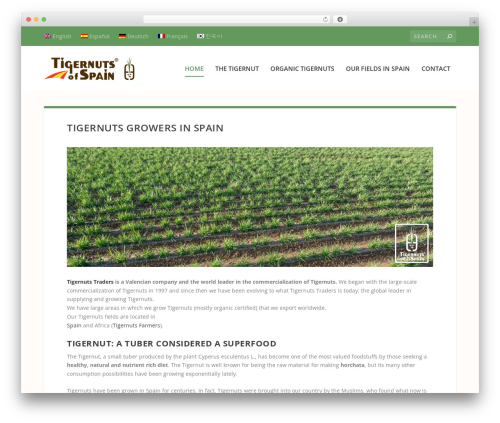 Best WordPress theme Extra - spanishtigernuts.com