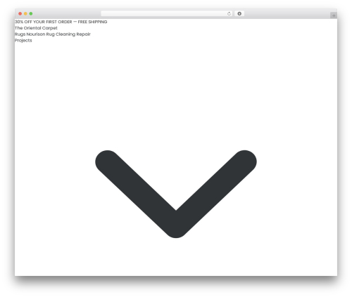 Weeconnectpay WordPress plugin - theorientalcarpet.com