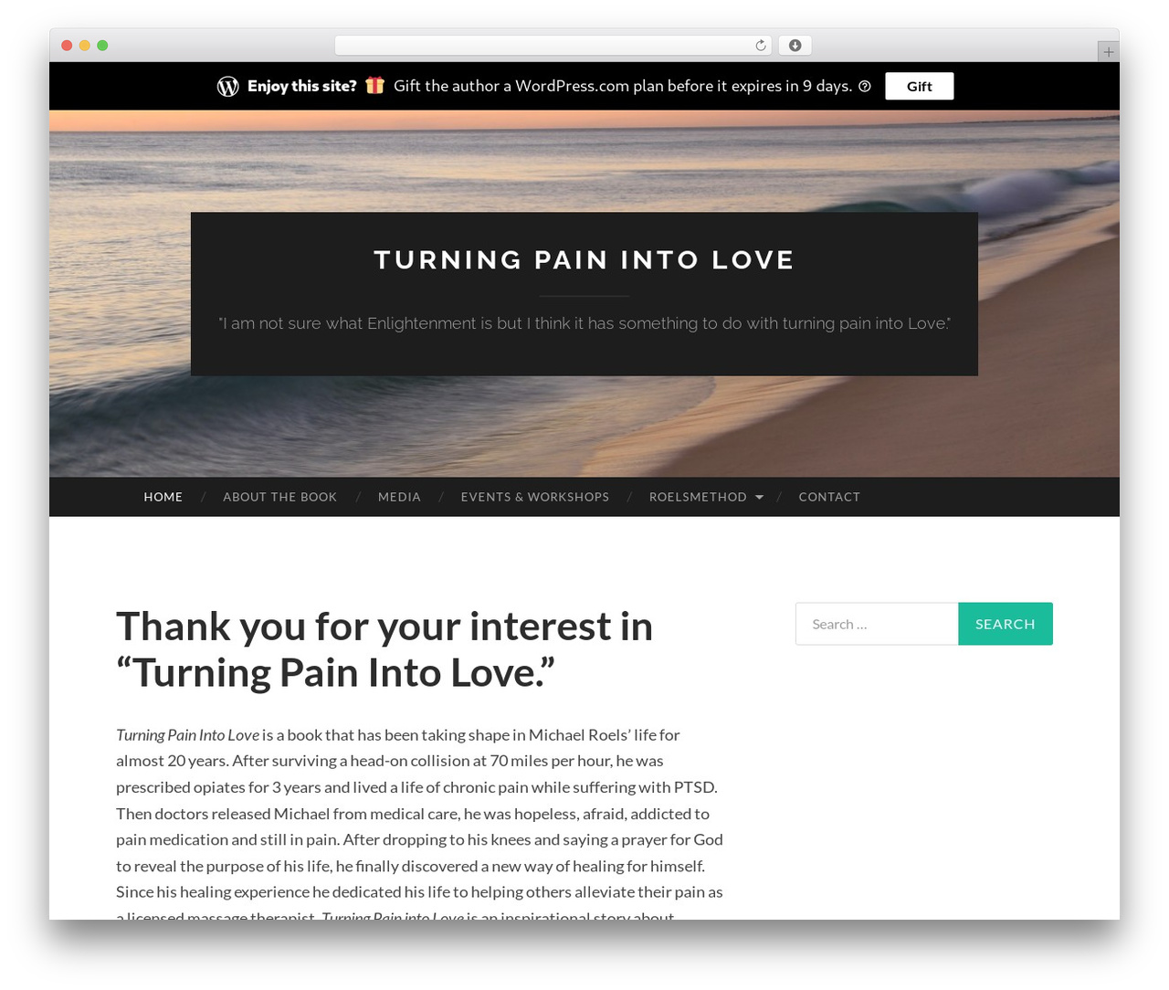 Hemingway Rewritten WordPress theme - turningpainintolove.com